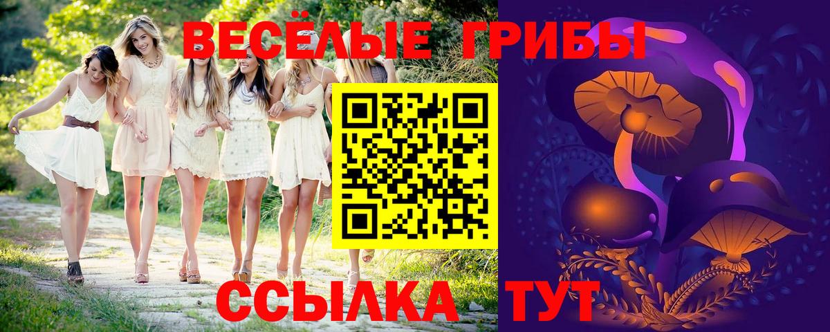 Псилоцибиновые грибы Magic Shrooms Калач-на-Дону