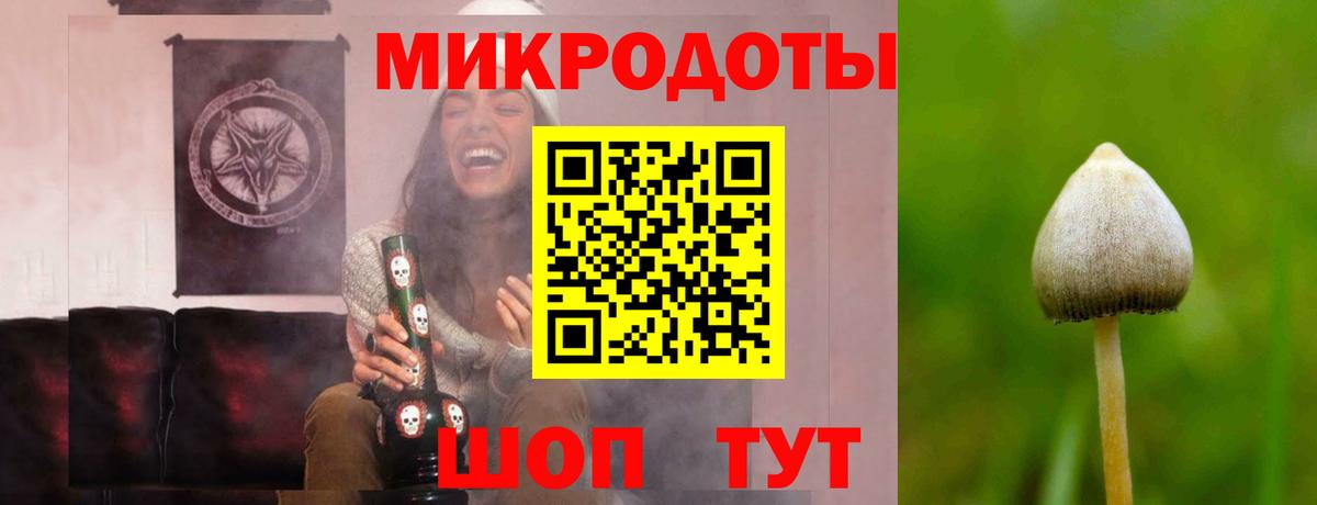 Псилоцибиновые грибы прущие грибы  Вход с VPN  Калач-на-Дону  Галлюциногенные грибы MAGIC MUSHROOMS 